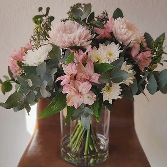 Suscripción quincenal