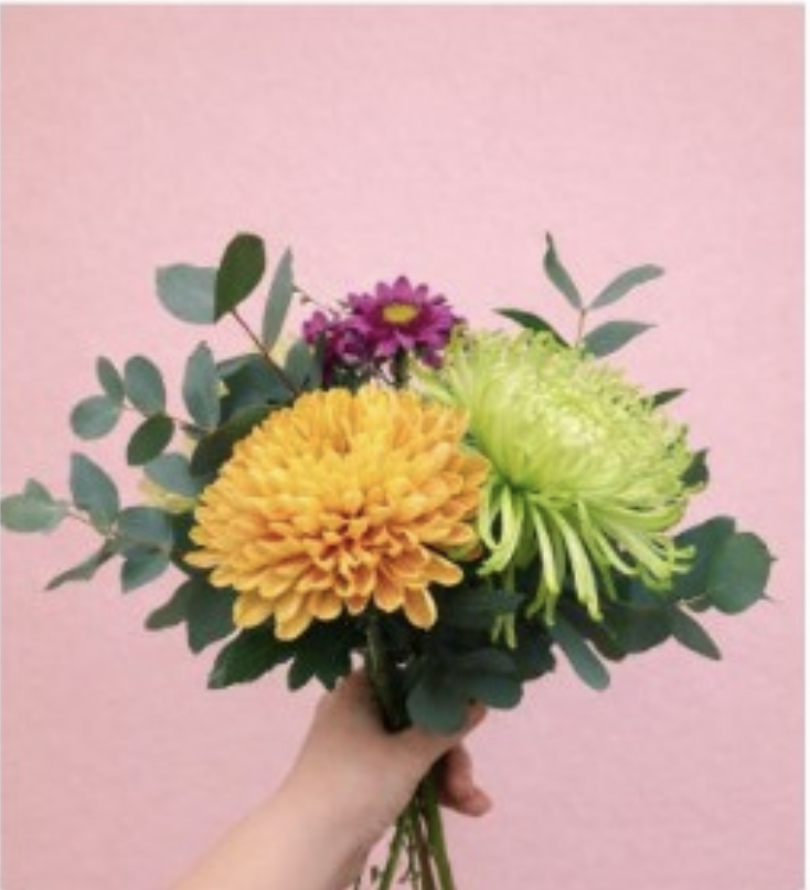 PLAN ARMONIA - Frecuencia Quincenal