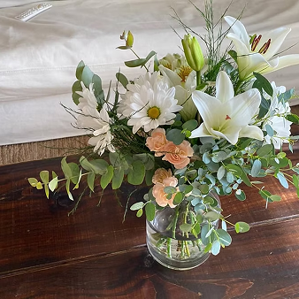 Suscripción quincenal