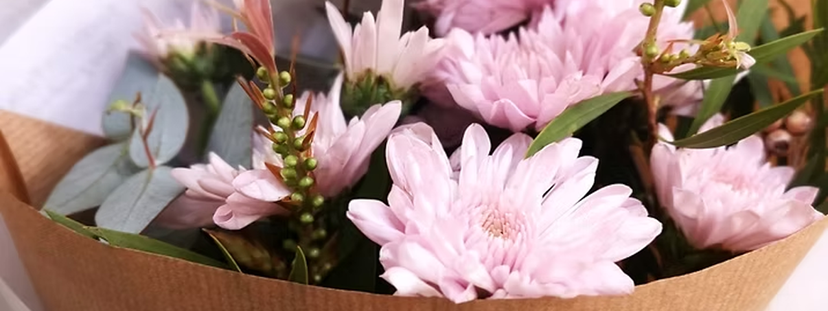 SOBRE BENDITAS FLORES