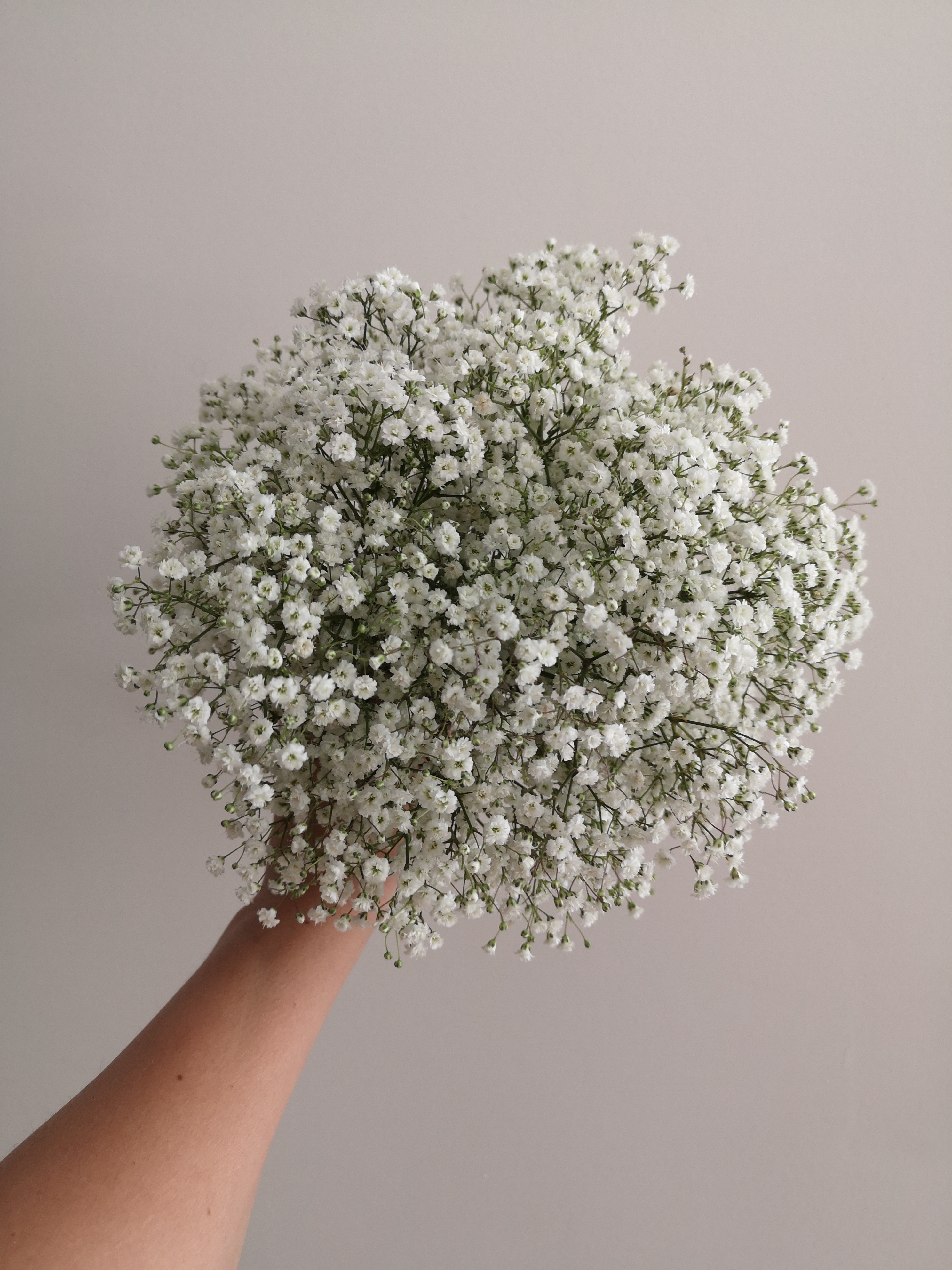 Ramo de novia en ilusión